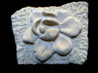 The Mighty Magnolia